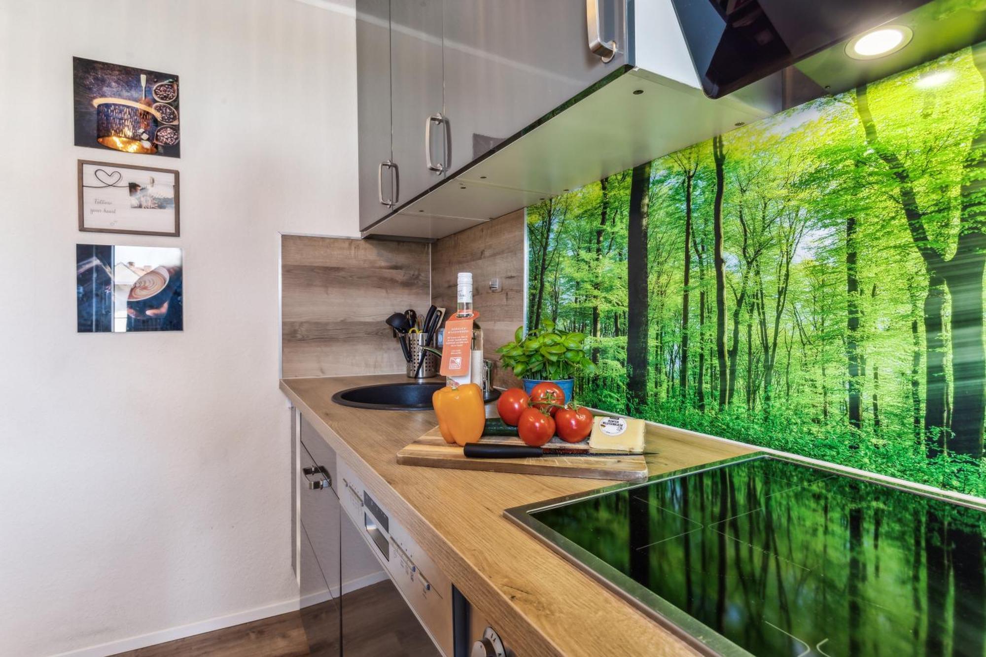 Apartment Edelharz Center Thale - Grill & Garden 外观 照片